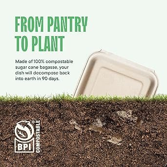 100 Compostable Clamshell Take Out Food Containers 50Pack HeavyDuty Quality